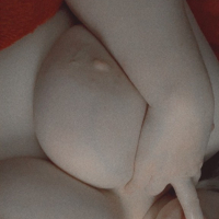 Anvchar miayn Fexiefox19