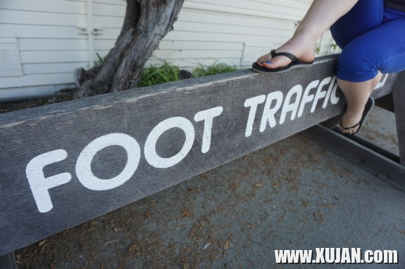 Loghap tsntsets - Photo #2844622
