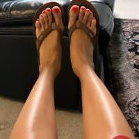 Kitty Paws
