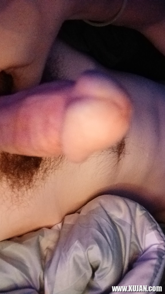 Im nbspcock - Photo #2848148