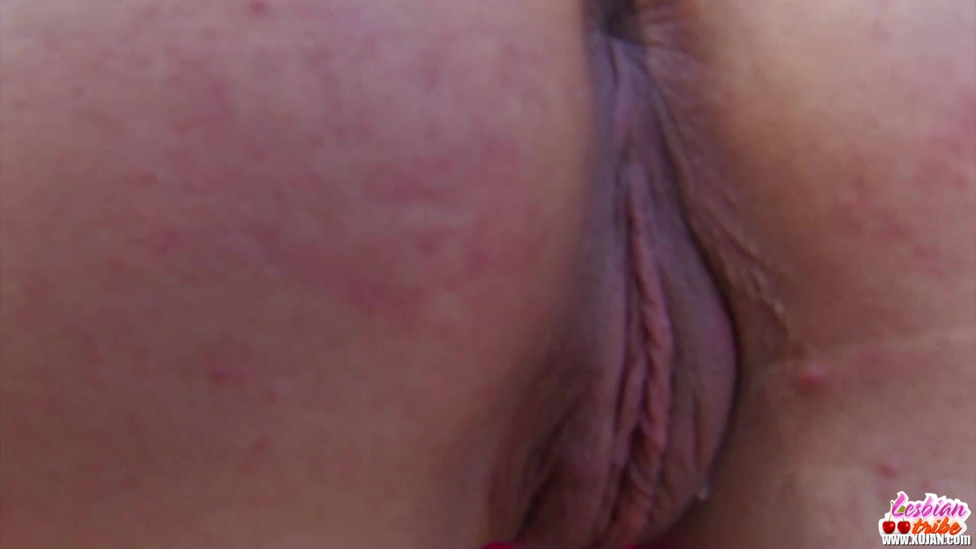 Fransiakan Slannya ev Angelina Licking Pusses - Photo #2881570