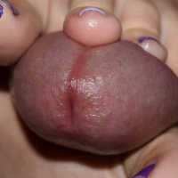 Purple Foodjob i luv4feet erangner
