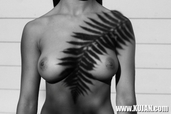 2024 amar fotosharqy - Photo #2901820