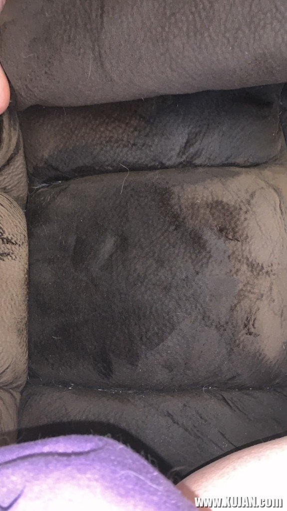 Couch Piss Adventure - Photo #2903906