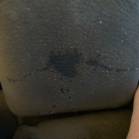 Couch Piss Adventure