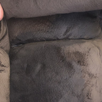 Couch Piss Adventure