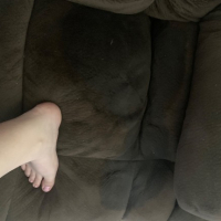 Couch Piss Adventure