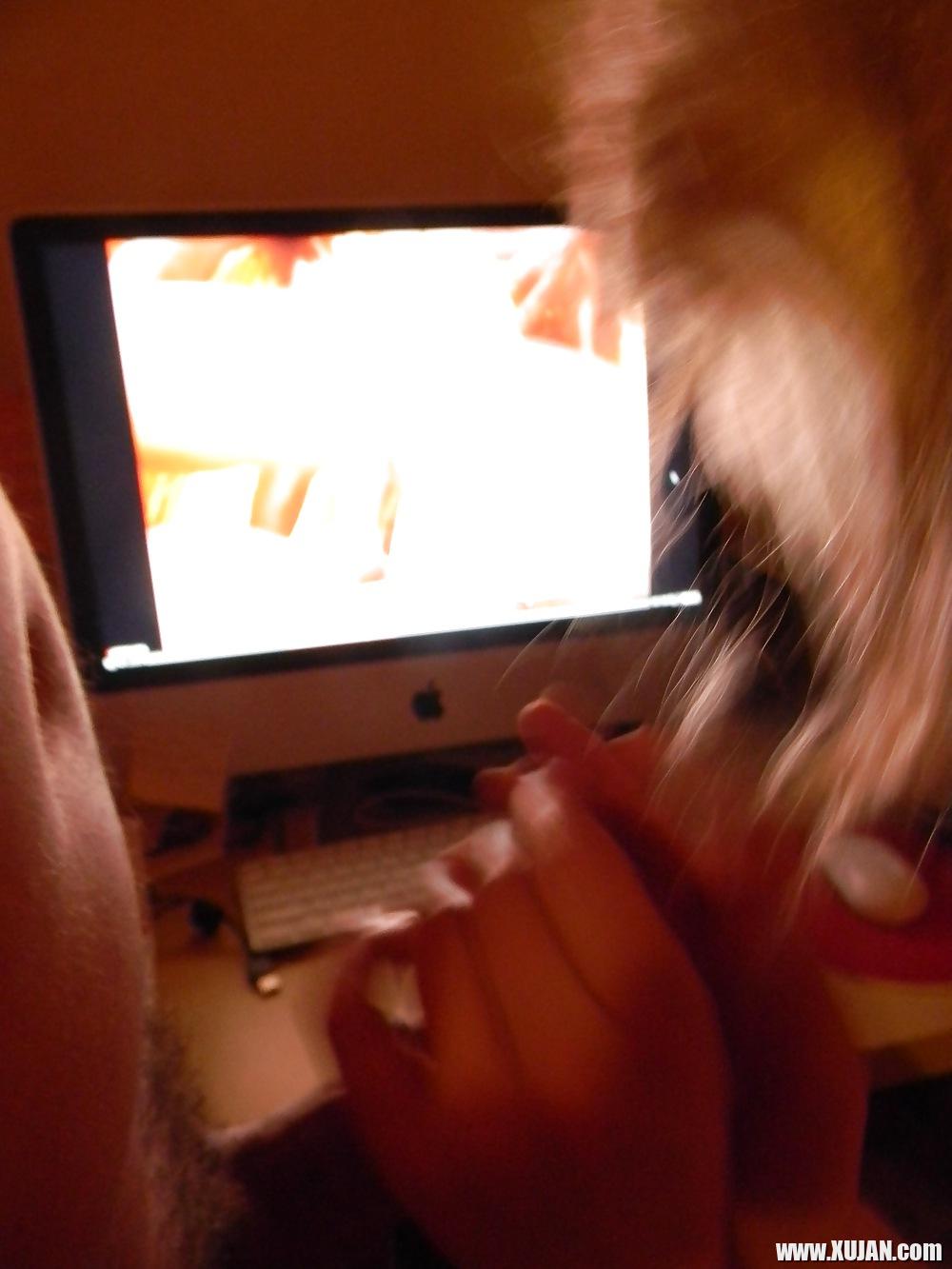 GF sucks my cock while she watches porn - Photo #2927244