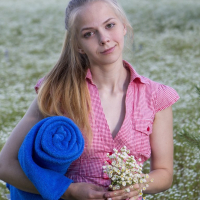 Model dashtum