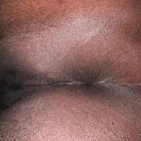 Ebony BBW sery