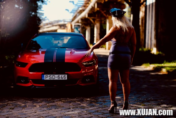 Mustang fotosharq - Photo #2941001