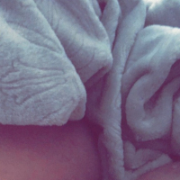 pucy ev Titty Pics
