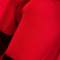 Redroom2