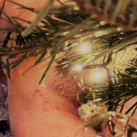 Merk urakh Xmas