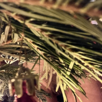 Merk urakh Xmas