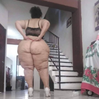 Sexis hishataky