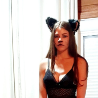Cat Puppy