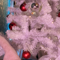 Sexy Santa the Treat SerenExx