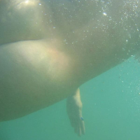 Minet nudistakan loghapum sermnaheghukov demqin