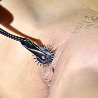 Pain avi palat AMP Lust