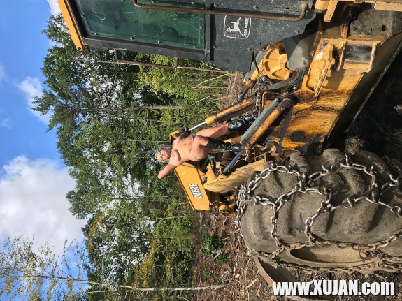 Skid Steer ev Woods - Photo #3005341