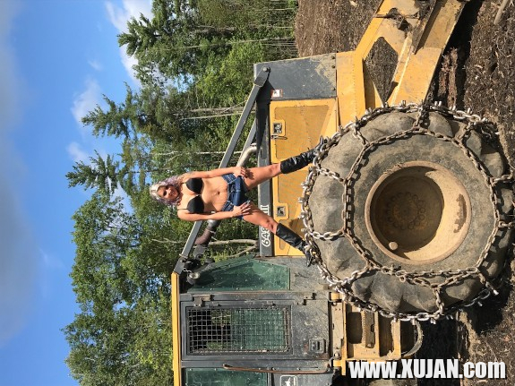 Skid Steer ev Woods - Photo #3005345