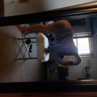 SEXY ASS krakotsner