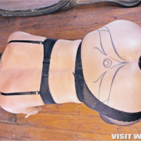 Cowgirl ev Horsekock