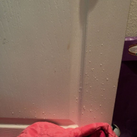 pissing mi tamponi het