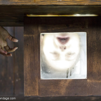 Busty fetish model Adriana Chechik hung upside down with face in box