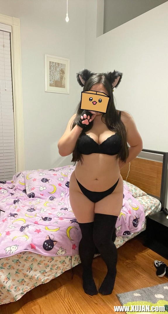 Chubby pucy Cat - Photo #3062563