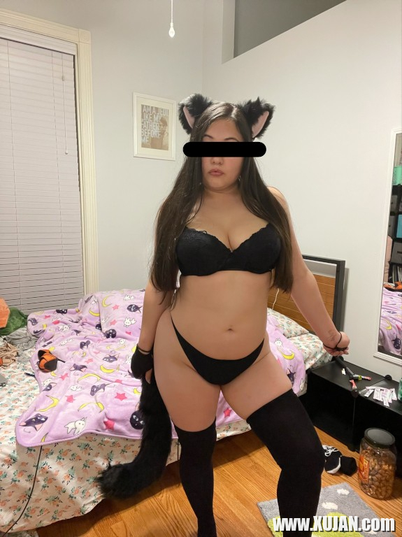 Chubby pucy Cat - Photo #3062570