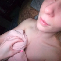 Kitten aravotyan