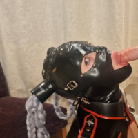 Cumshots Creampies