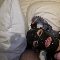 Cumshots Creampies