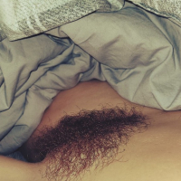 pucy Bush