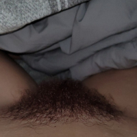 pucy Bush