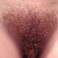 pucy Bush