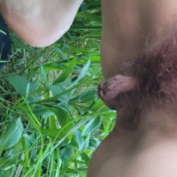 pucy Bush