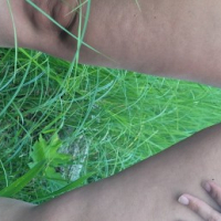 pucy Bush
