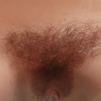 pucy Bush