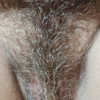 pucy Bush