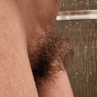 pucy Bush