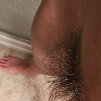 pucy Bush