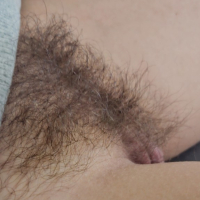 pucy Bush