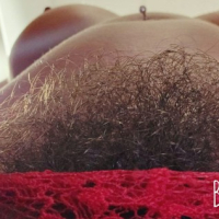 pucy Bush