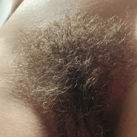 pucy Bush