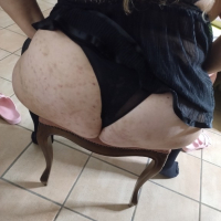 Porcella