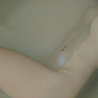 Seqsual dirqer ev mets bober