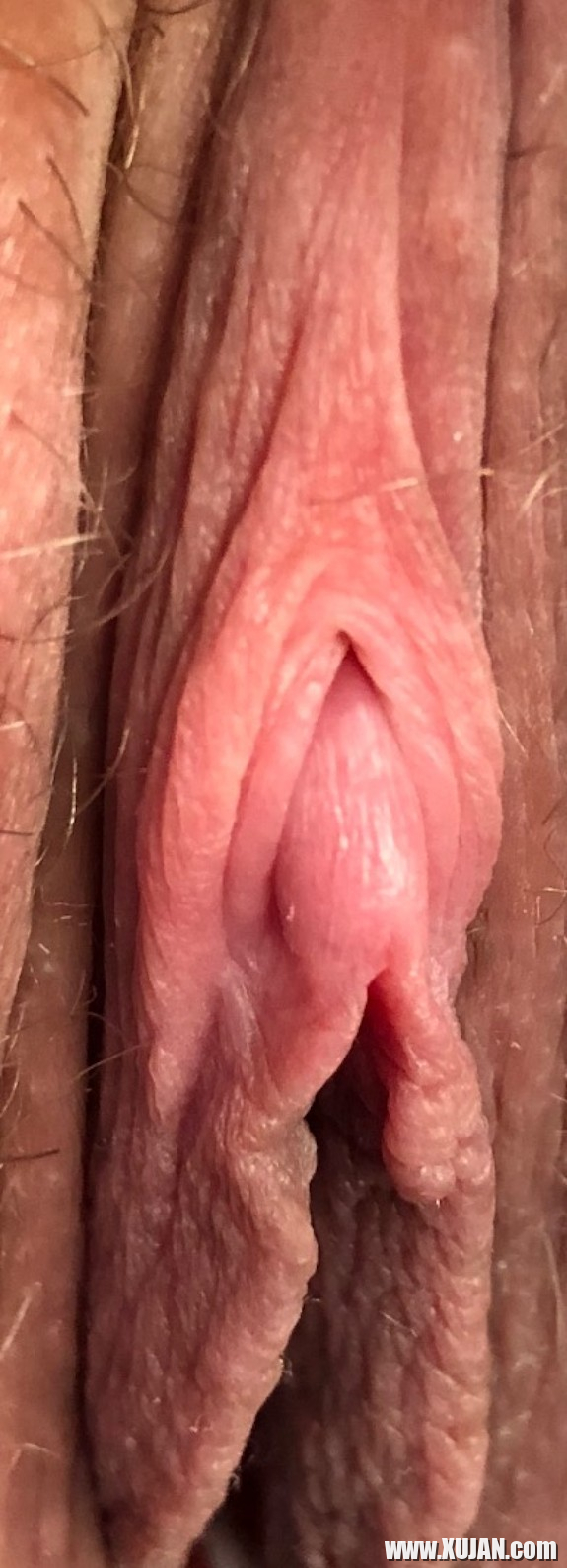 Im apranqnery - Photo #3102619